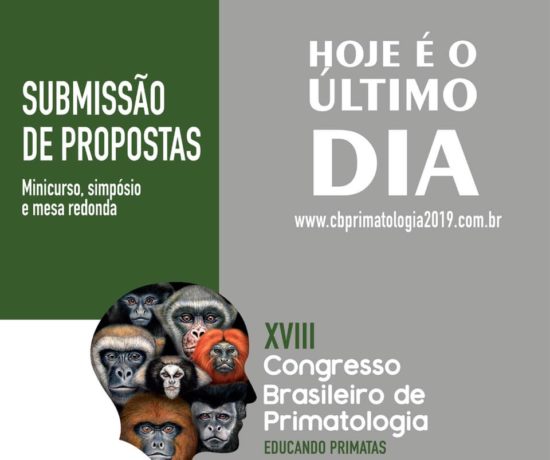 Último Dia!