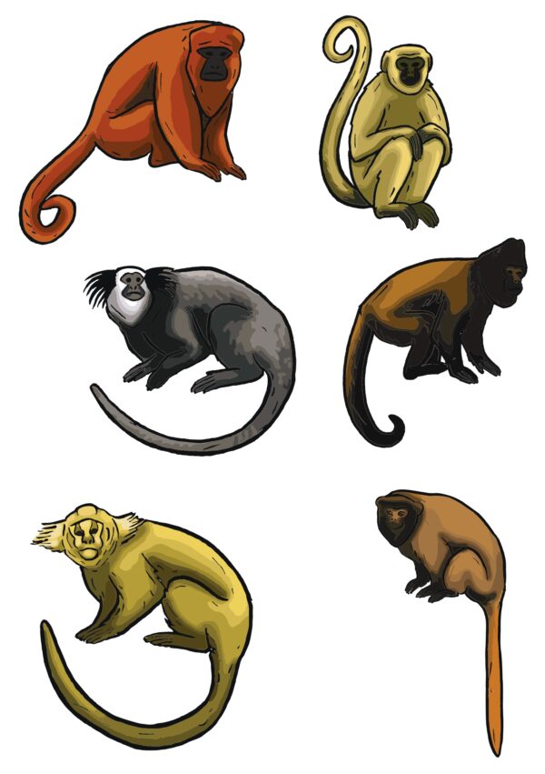 Adesivo cartela macacos CBPr 2024