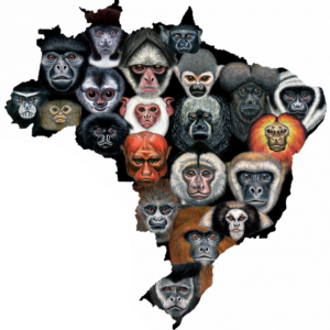 Adesivo Logo Mapa SBPr